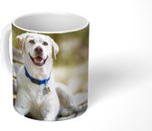 Mok - Labrador Retriever op een bankje - 350 ML - Beker