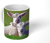 Mok - Twee lammetjes liggen samen in het hoge gras - 350 ML - Beker
