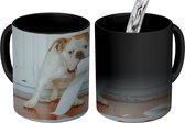 Magische Mok - Foto op Warmte Mok - Hond spelend met wc-papier - 350 ML
