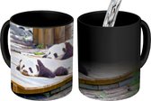 Magische Mok - Foto op Warmte Mokken - Koffiemok - Panda's - Vloer - Hout - Magic Mok - Beker - 350 ML - Theemok