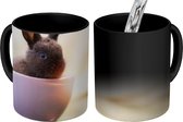 Magische Mok - Foto op Warmte Mok - Konijn - Baby - Theekop - 350 ML