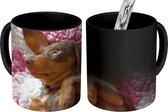 Magische Mok - Foto op Warmte Mokken - Koffiemok - Een Teckel puppy op een roze deken - Magic Mok - Beker - 350 ML - Theemok
