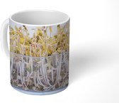 Mok - Taugé in een glazen kom fel witte achtergrond - 350 ML - Beker