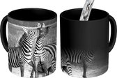 Magische Mok - Foto op Warmte Mok - Vechtende zebra's - 350 ML