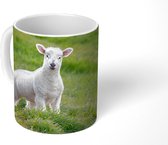 Mok - Koffiemok - Schaap - Dier - Gras - Mokken - 350 ML - Beker - Koffiemokken - Theemok