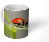 Mok - Twee lieveheersbeestjes op blad - 350 ML - Beker