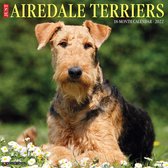 Airedale Terrier Kalender 2022