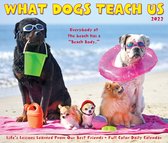 What Dogs Teach Us 2022 Box Calendar, Daily Desktop