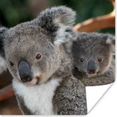 Poster Koala's - Vader - Zoon - Kids - Jongens - Meiden - 100x100 cm XXL