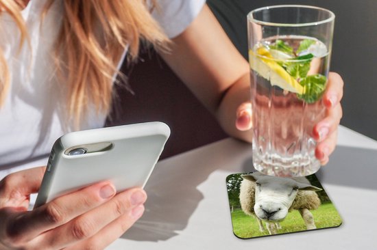 Sous- Sous-verres pour verres - Mouton - Drôle - Pâturage - 10x10 cm - 6 pièces