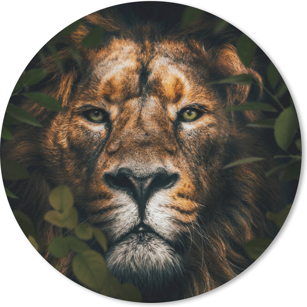 Muismat rond 20x20 cm - Mousepad Planten - Leeuw - Jungle - Ronde muismatten