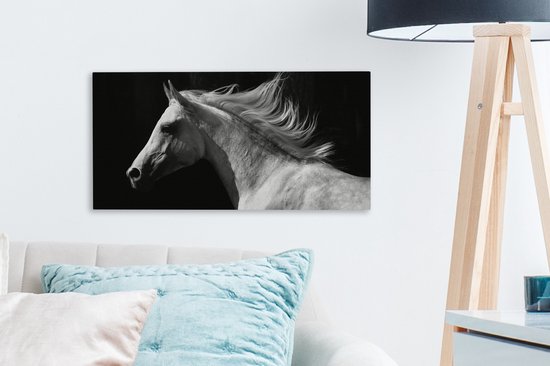 Tableau sur Toile Paarden - Animal de la Ferme - Crinière - 40x20 cm - Décoration murale