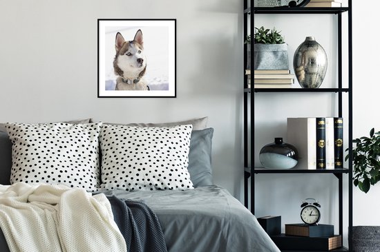 Affiche avec cadre Husky sibérien dans la neige - 40x40 cm