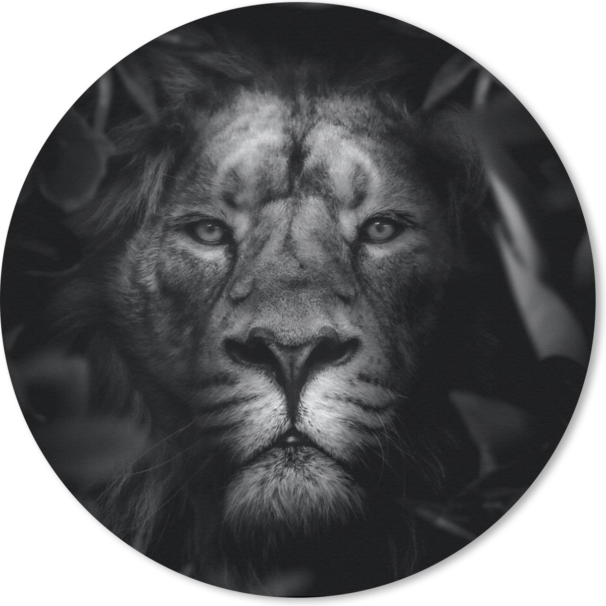Muismat rond 20x20 cm - Mousepad Dieren - Leeuw - Jungle - Zwart - Wit - Ronde muismatten