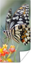 Poster Pages vlinder op bloem - 60x120 cm