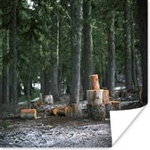 Meerdere recent gekapte boomstammen in een bos poster 30x30 cm - Foto print op Poster (wanddecoratie woonkamer / slaapkamer) / Planten Poster