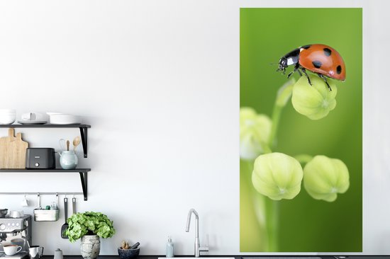 Affiche Printemps coccinelle - 75x150 cm