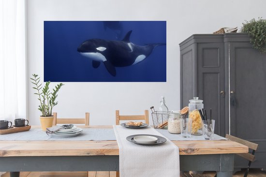 Affiche Deux orques dans l'eau claire - 160x80 cm