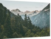 Bos op een berg - Foto op Dibond - 60 x 40 cm