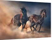 Zwarte hengsten in de woestijn - Foto op Dibond - 60 x 40 cm