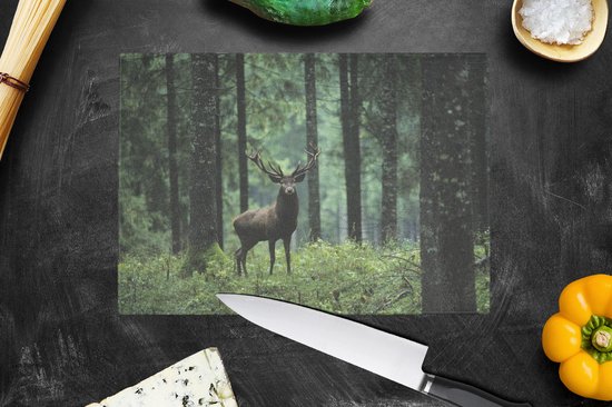 Planche à découper en Verres - 28x20 - Cerf - Forêt - Nature - Planches à découper en Glas