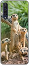 Geschikt voor Samsung Galaxy A50 hoesje - Stokstaartjes - Familie - Dieren - Siliconen Telefoonhoesje