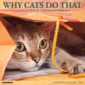 Why Cats Do That Kalender 2022