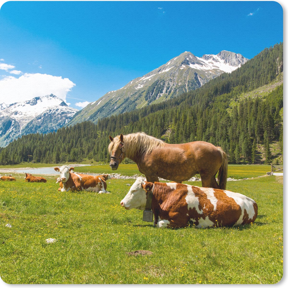 Muismat 20x20 cm - Mousepad Koeien - Paarden - Alpen - Muismatten