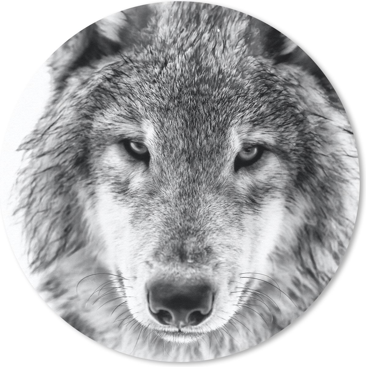 Muismat rond 40x40 cm - Mousepad Dierenprofiel wolf in zwart-wit - Ronde muismatten