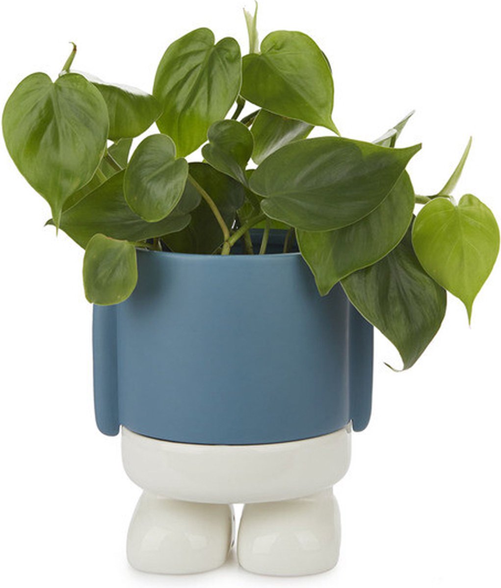 Balvi bloempot Mr. Standy-Blauw