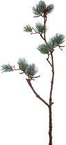 Twig Plant green brown ming pine spray