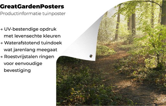 Décoration murale Forêt - Arbre - Chemin - 180x120 cm - Affiche jardin