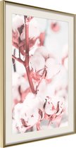 Poster Cotton Flowers 40x60