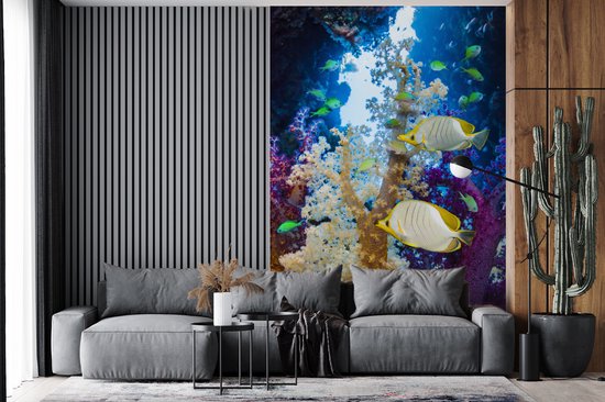 Papier peint - Papier peint photo Corail coloré dans un océan avec des poissons - Largeur 170 cm x hauteur 260 cm