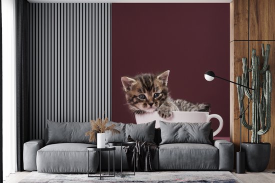 Papier peint photo vinyle - Un chaton dans une tasse avec une soucoupe largeur 190 cm x hauteur 260 cm - Tirage photo sur papier peint (disponible en 7 tailles)