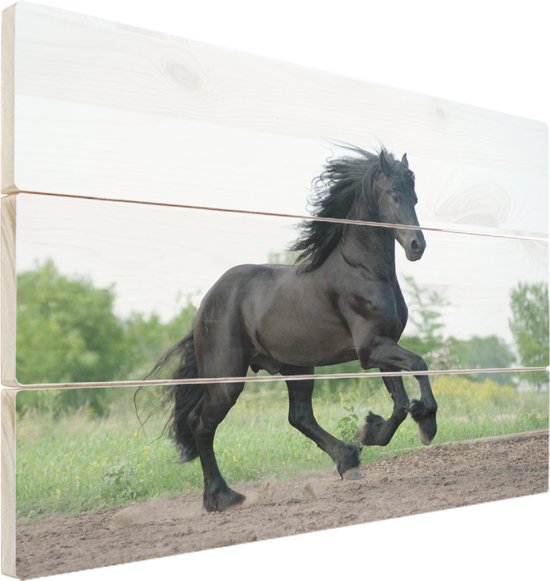 Houten