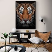 Poster Tiger Close-up - Dibond - 50x70 cm - Meerdere Afmetingen & Prijzen | Wanddecoratie - Interieur - Art - Wonen - Schilderij - Kunst