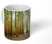 Mok - Bos in het Nationaal park Redwood in Noord-Amerika - 350 ML - Beker