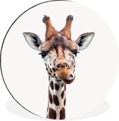 Girafe - Portrait animalier pépinière murale cercle aluminium ⌀ 60 cm - impression photo sur cercle mural / cercle vivant / cercle jardin (décoration murale)