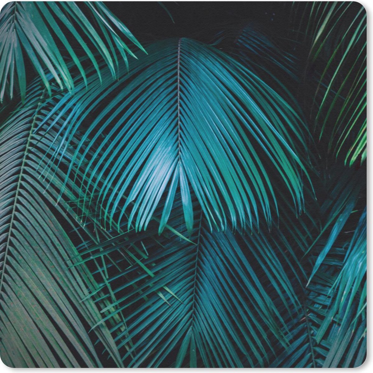 Muismat 20x20 cm - Mousepad Palmbomen - Jungle - Bladeren - Muismatten