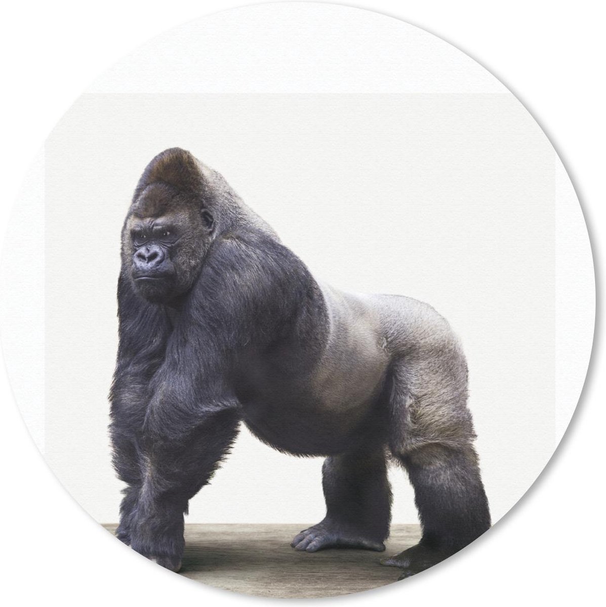 Muismat rond 50x50 cm - Mousepad Dier - Gorilla - Aap - Ronde muismatten