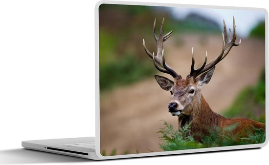 Sticker pour ordinateur portable - 12,3 pouces - Cerf - Animaux - Fougères