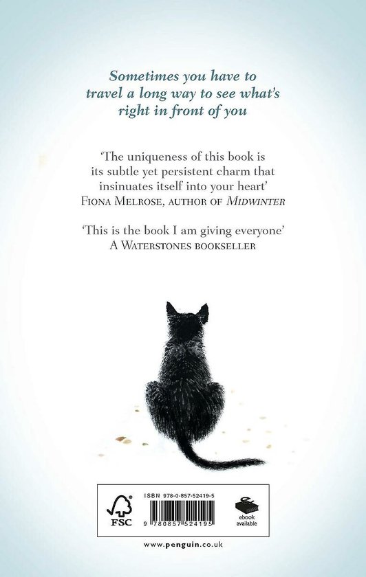 洋書 Darconvilles Cat 洋書 Darconvilles Cat Darconville's Cat: A Novel: Theroux