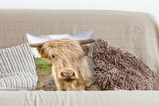 Coussins décoratifs - Oreillers Salon - 45x45 cm - Highlander écossais - Léger - Paysage