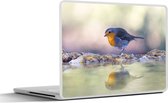 Laptop sticker - 12.3 inch - Vogel - Water - Winter - 30x22cm - Laptopstickers - Laptop skin - Cover