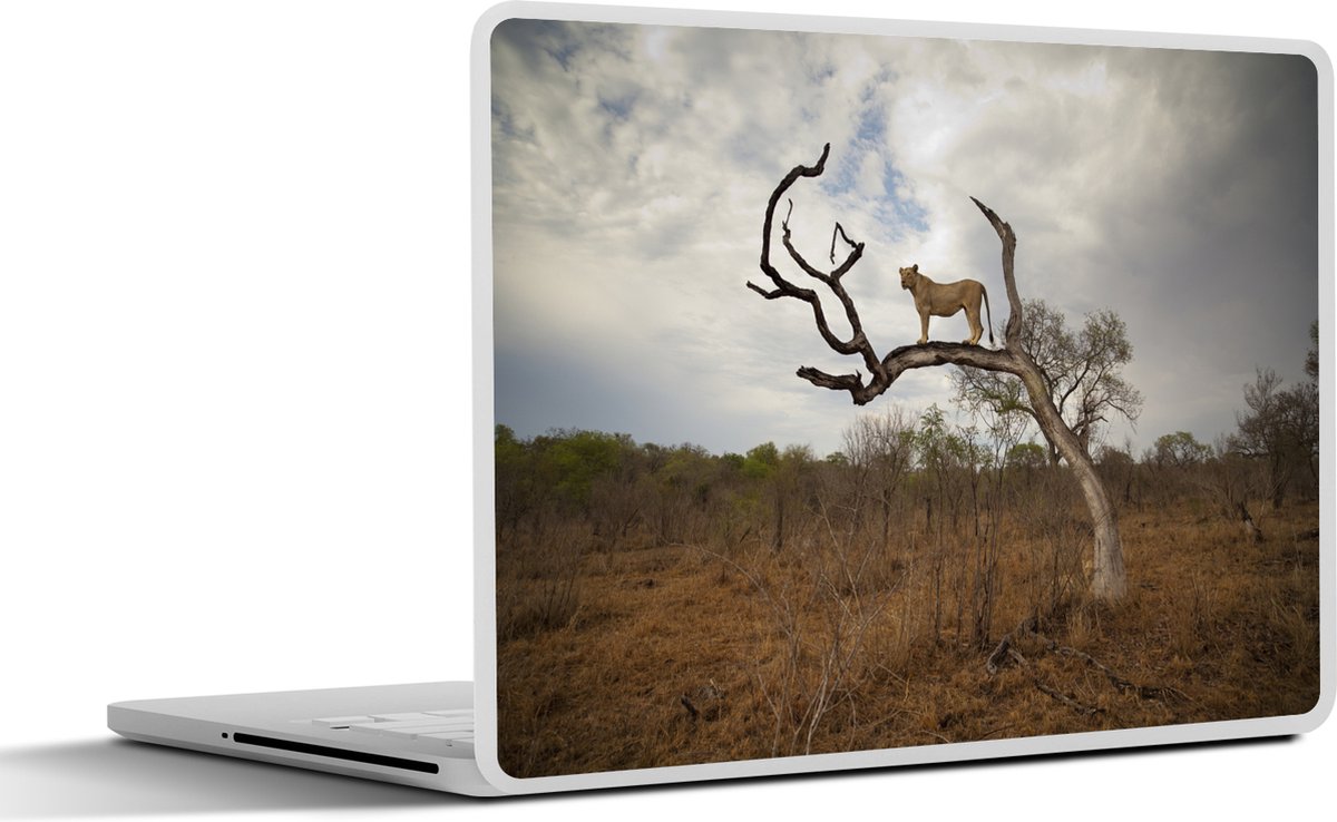 Afbeelding van product SleevesAndCases  Laptop sticker - 12.3 inch - Leeuw - Boom - Takken - Afrika