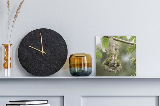 Peinture sur toile Un paresseux accroché dans les arbres à l'envers - 20x20 cm - Art Décoration murale