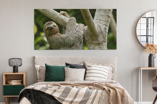 Tableau sur toile Un paresseux accroché à une branche - 160x80 cm - Décoration murale Art