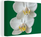 Canvas Schilderij Orchidee met groene achtergrond - 40x30 cm - Wanddecoratie