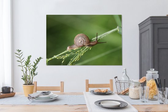 Tableau sur toile Escargot rampant - 120x80 cm - Décoration murale